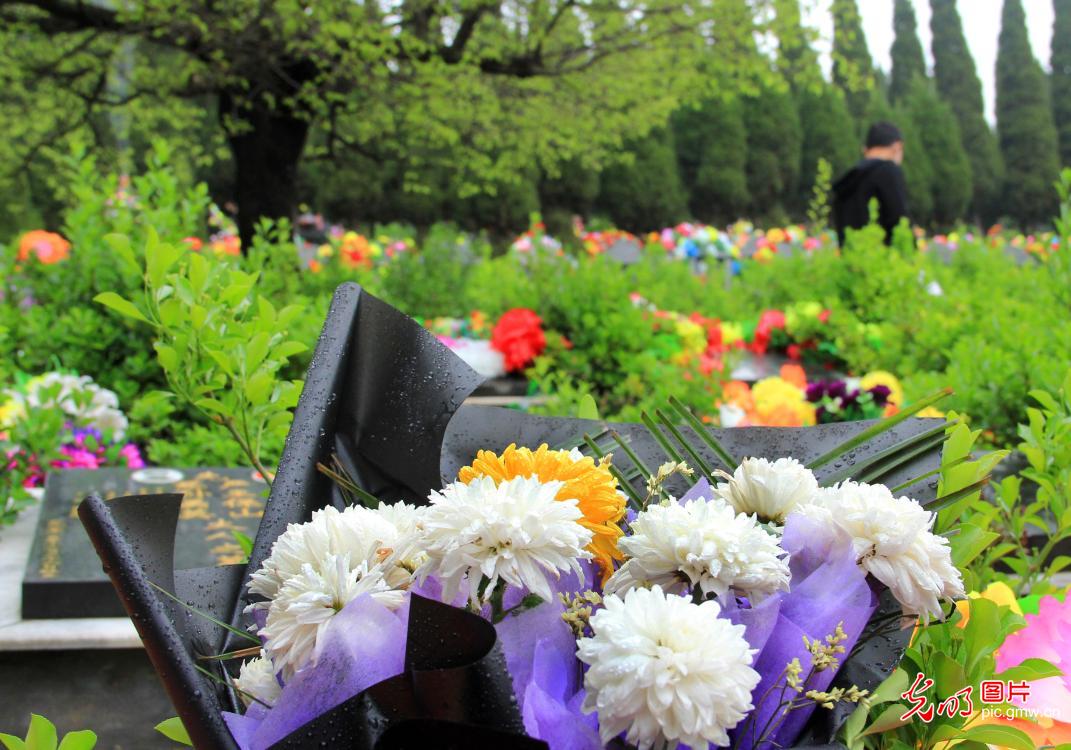 绿色清明 鲜花祭祀