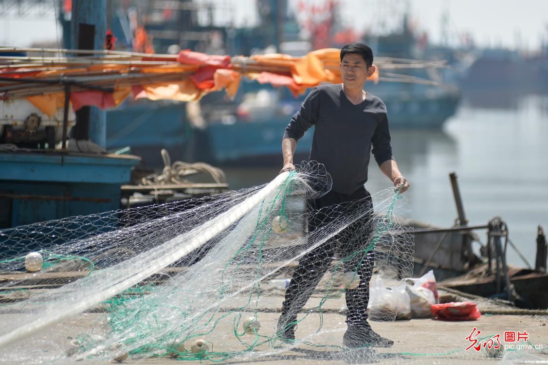 山东青岛 ：春渔汛期 渔民整装待发