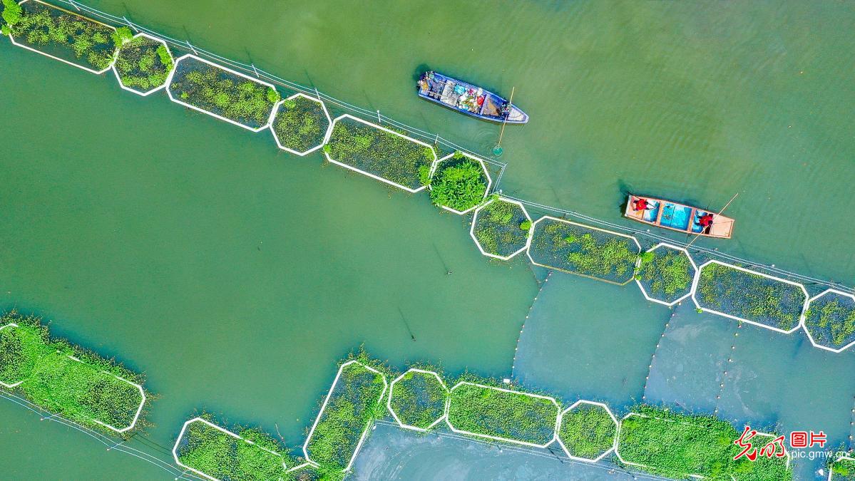 浙江湖州：生态治水 共护家园