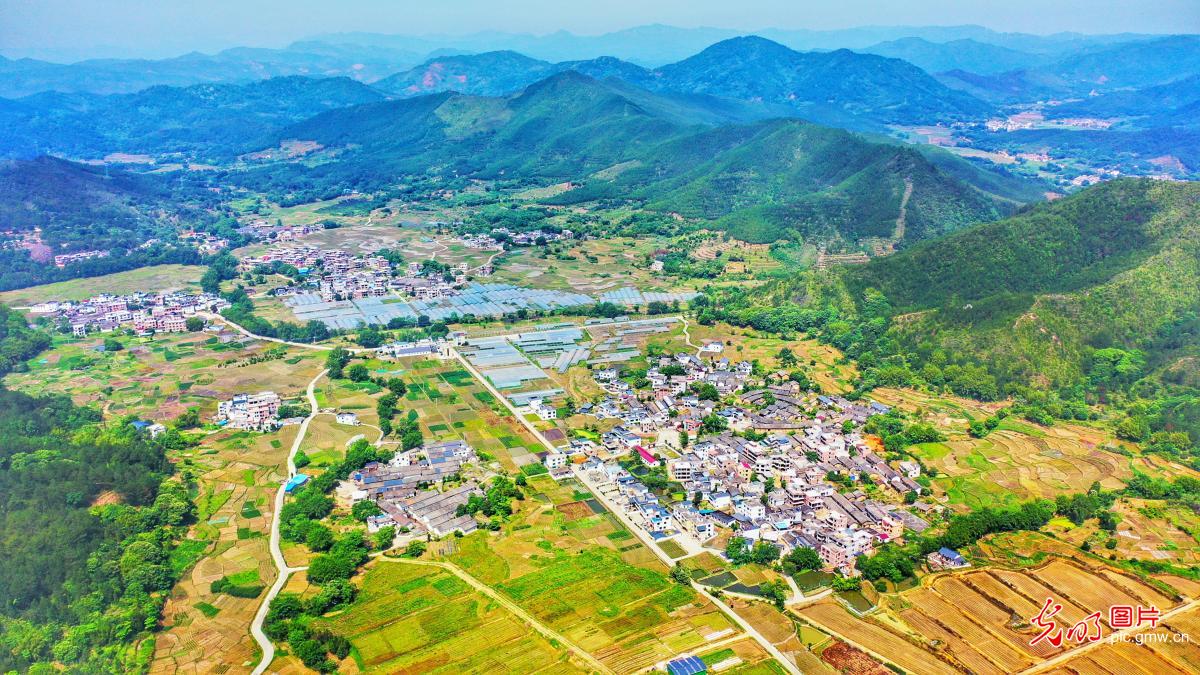 江西全南：生态田园 美丽乡村