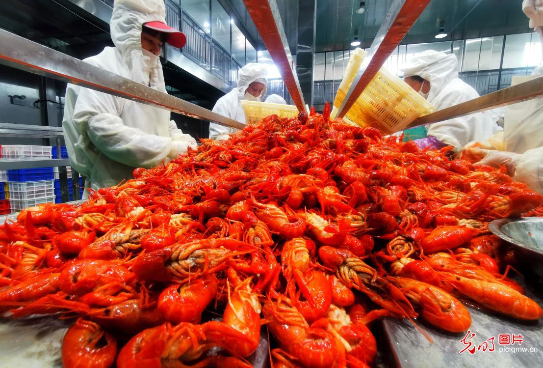 江西九江：小龙虾养成大产业