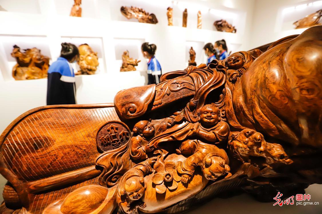 河北遵化：博物馆日感受木雕文化魅力