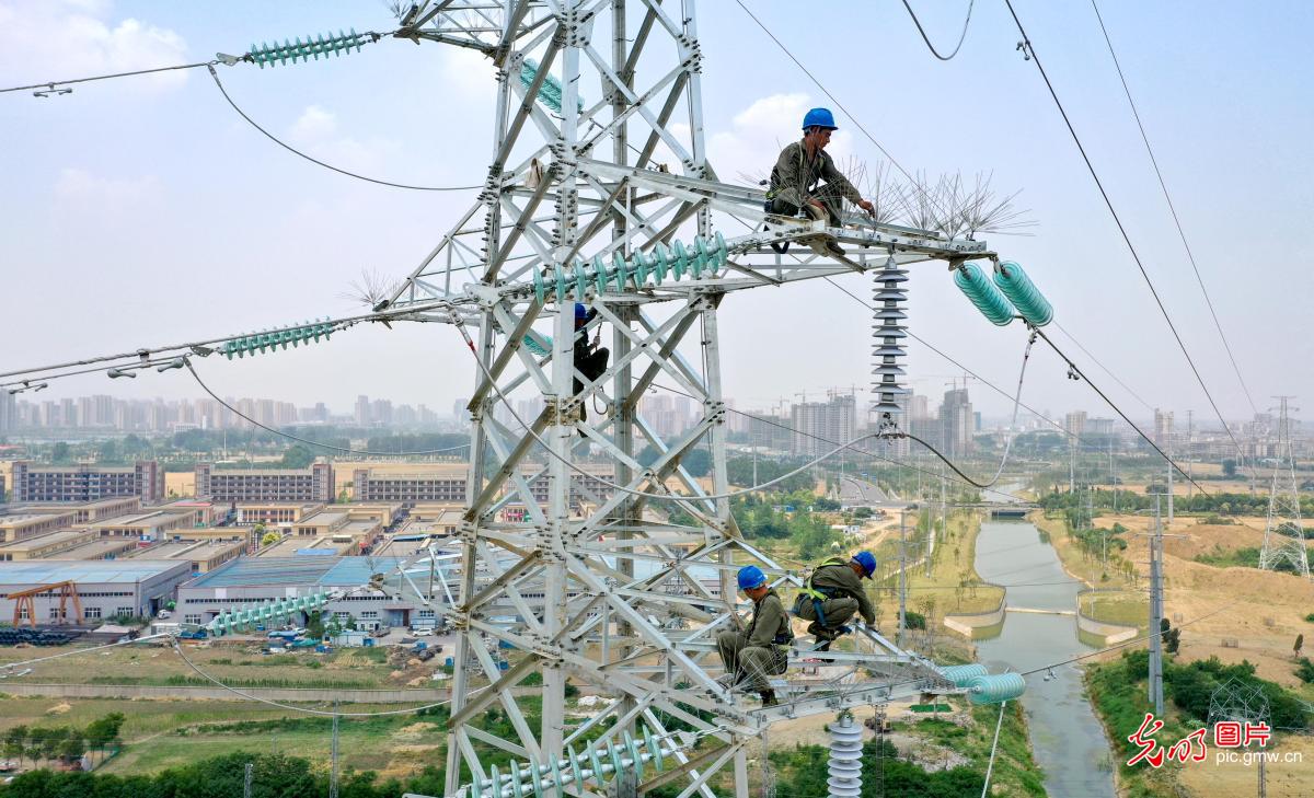 安徽亳州：电网建设助力企业发展