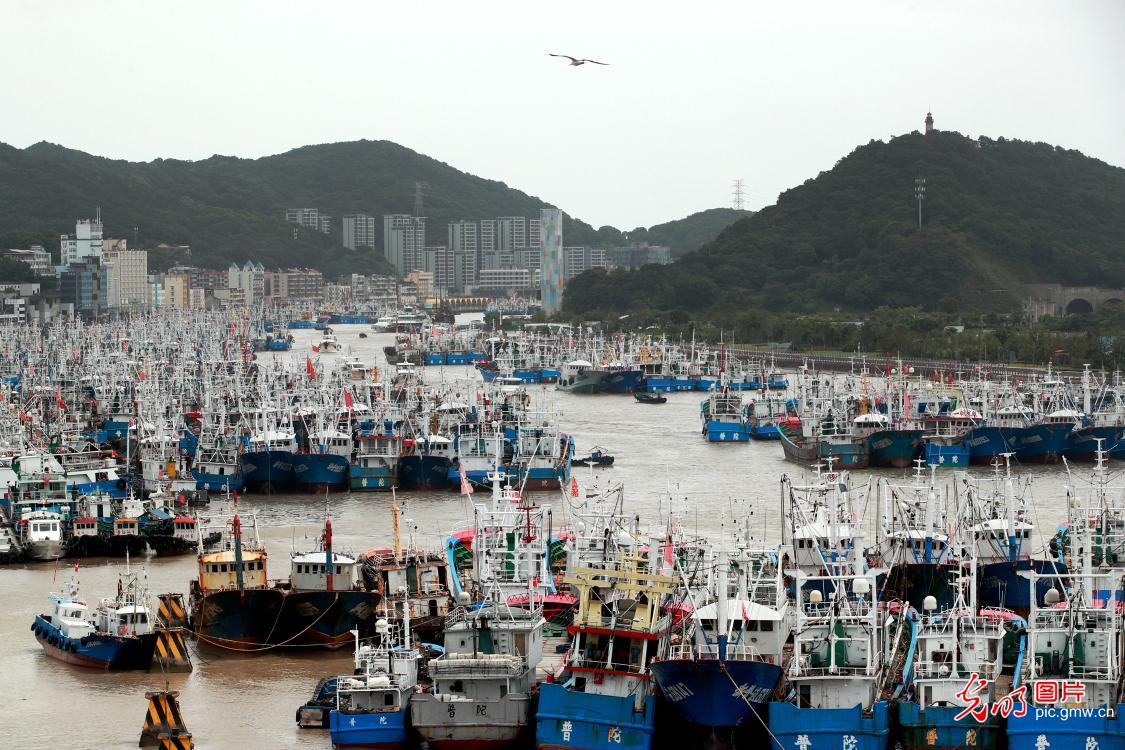 浙江舟山：5500多艘渔船回港避风