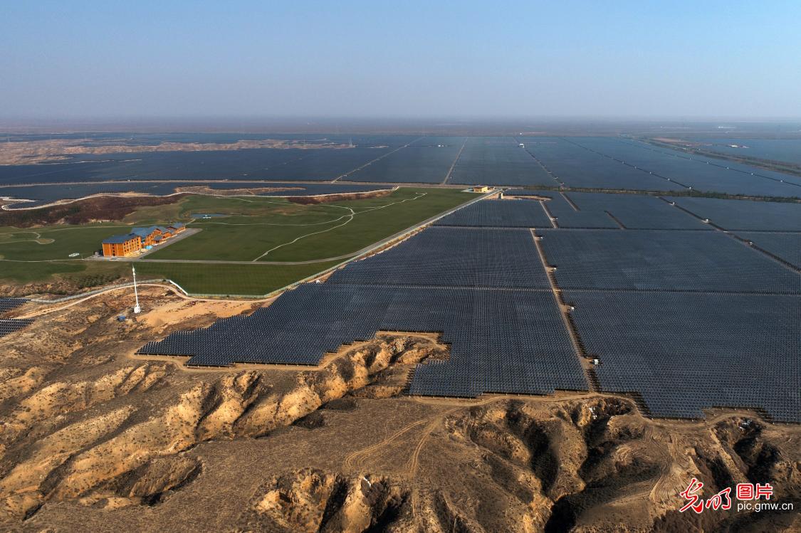 宁夏银川：16万亩荒漠化土地成为绿色能源主阵地