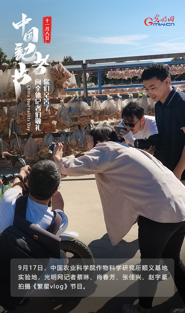 今天记者节：一组海报，看见新闻背后那些可爱的身影