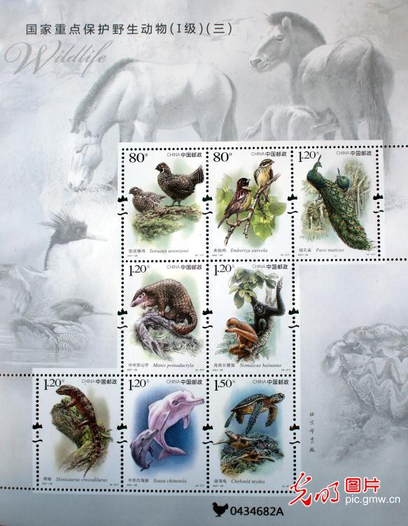 《国家一级重点保护野生动物》特种邮票