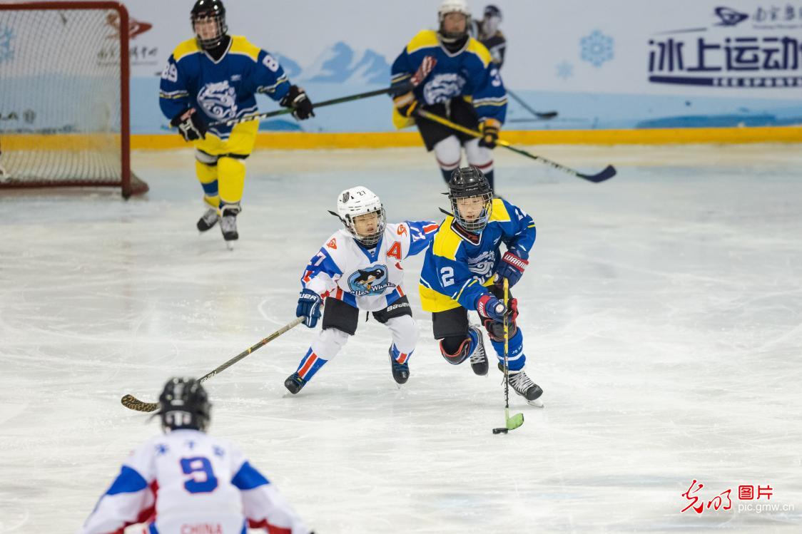 南京市首届青少年冰球联赛举办