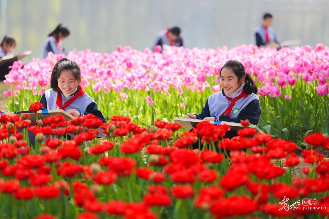 【组图】花开盛世：“幸福课堂” 花海丛中绘春天