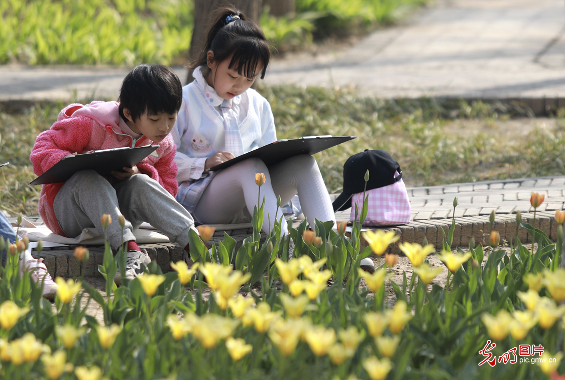 【组图】花开盛世：“幸福课堂” 花海丛中绘春天