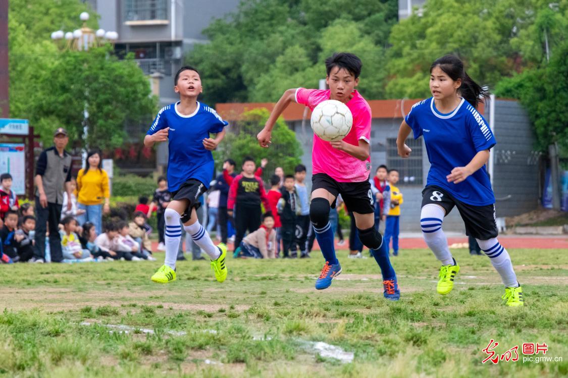 2025江西省城市足球联赛-赛程/比分/球队阵容全掌握-本地足球热血来袭！河北省信息工程学校食堂委托经营项目