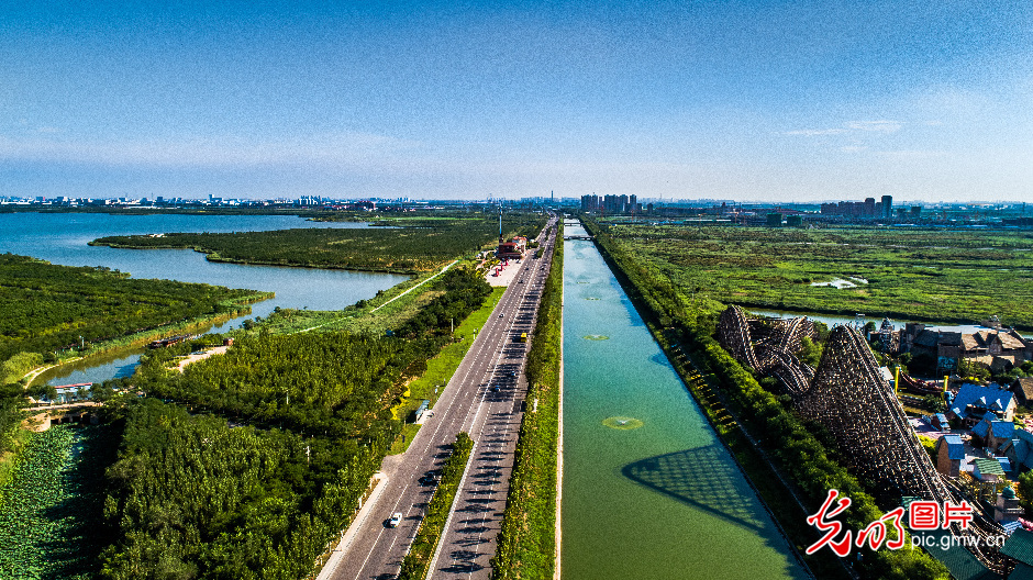 【我们的新时代】天津东丽区：聚焦绿色发展 绘就生态画卷