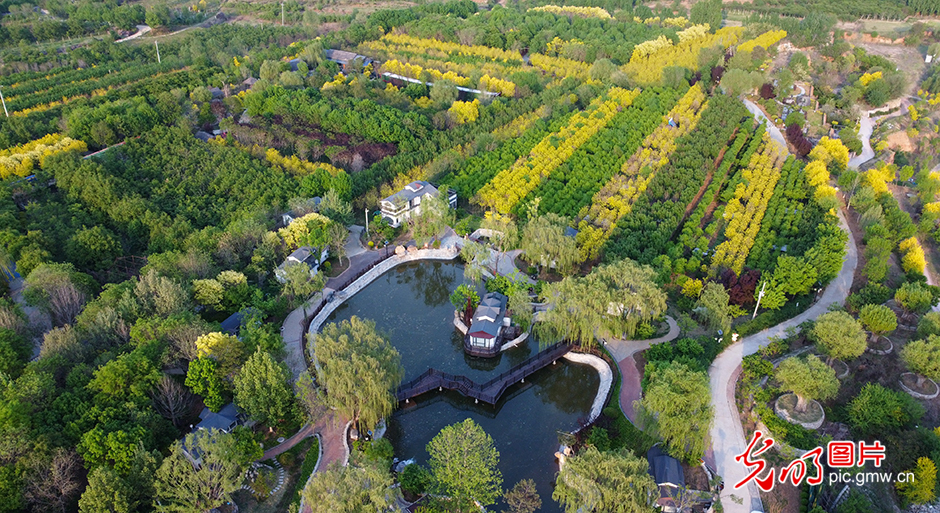【我们的新时代】天津蓟州：千年古县 青山绿水