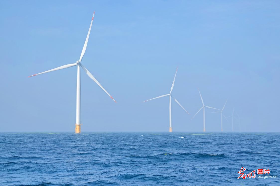 发展海上风电 推动绿色转型