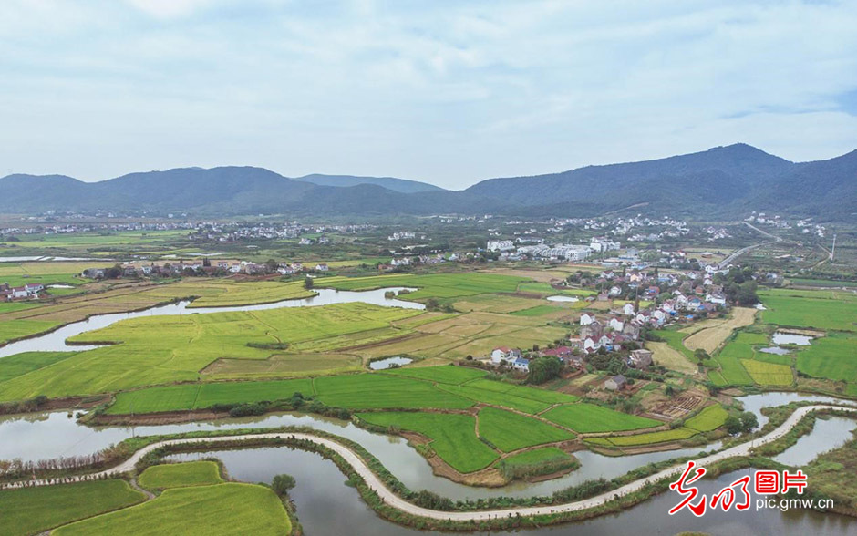【绿水青山“瞰”中国】坚持绿色发展 绘就“生态”“富民”新乡村