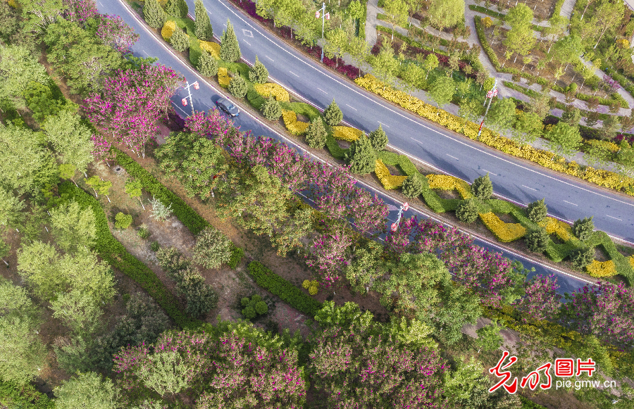 【绿水青山“瞰”中国】崛起在新丝路带上的生态新城