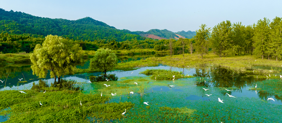 【我的家乡河】江西瑞昌：多措并举建设“幸福河湖”