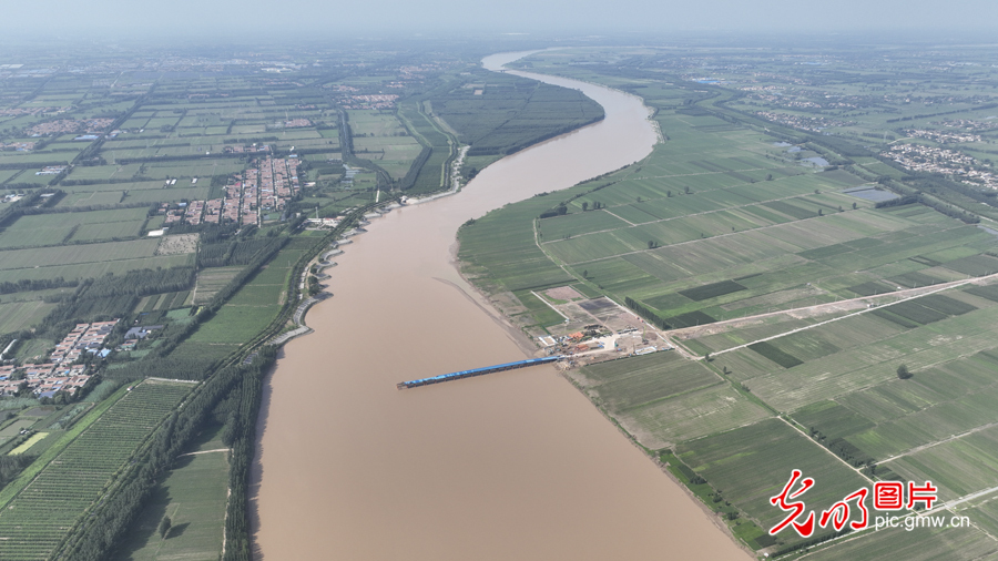 【我的家乡河】山东惠民：筑牢黄河生态安全屏障 打造百里生态廊道