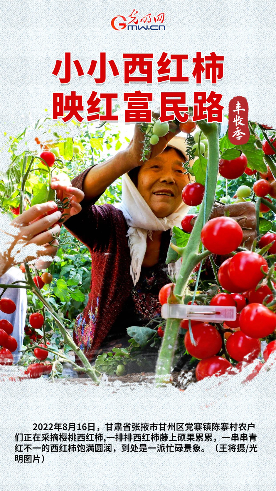 【组图海报】喜丰收季，农户增收有门路