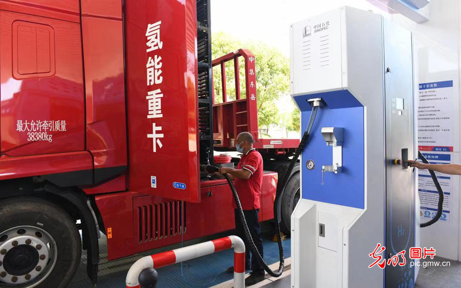 嘉兴港区：建设“绿色”港口 打造氢能产业生态