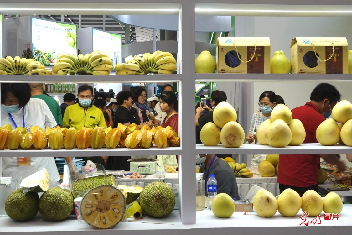 第19届中国东盟博览会农业展开幕