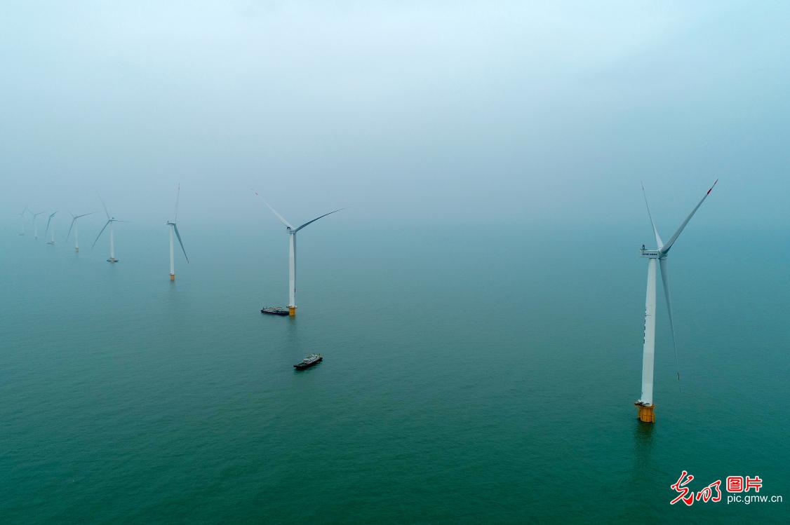 山东首个平价海上风电项目并网发电