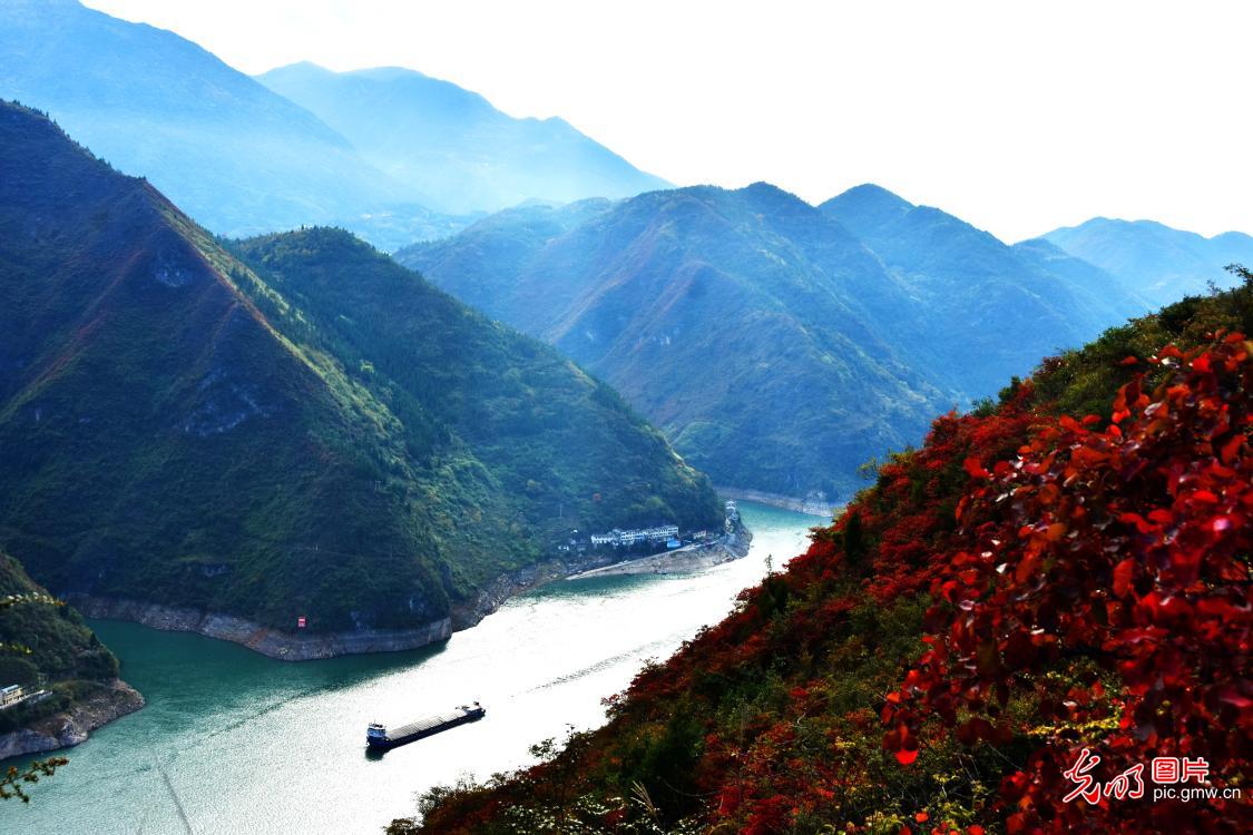 重庆巫山：红叶衬峡江