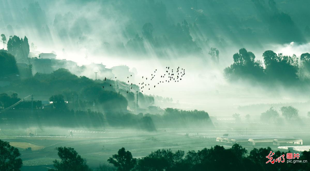 薄雾笼罩 村景多彩