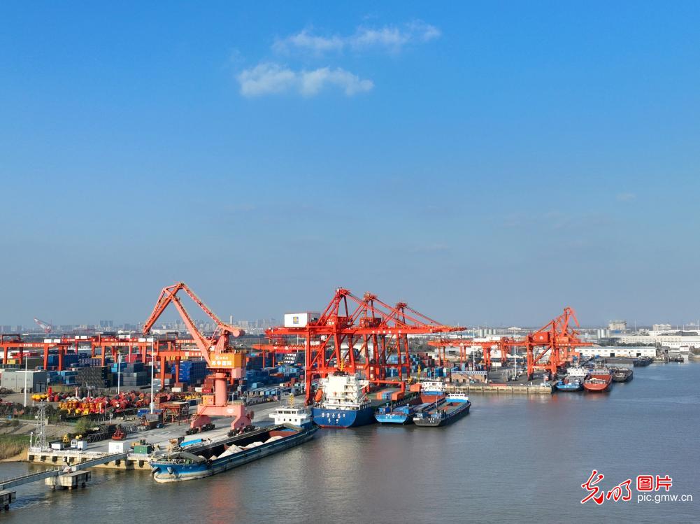 前11个月江苏南通港集装箱吞吐量突破200万标箱