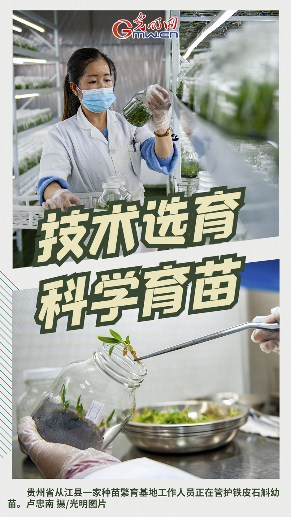 【春耕行动】万象“耕”新 智慧农业显身手