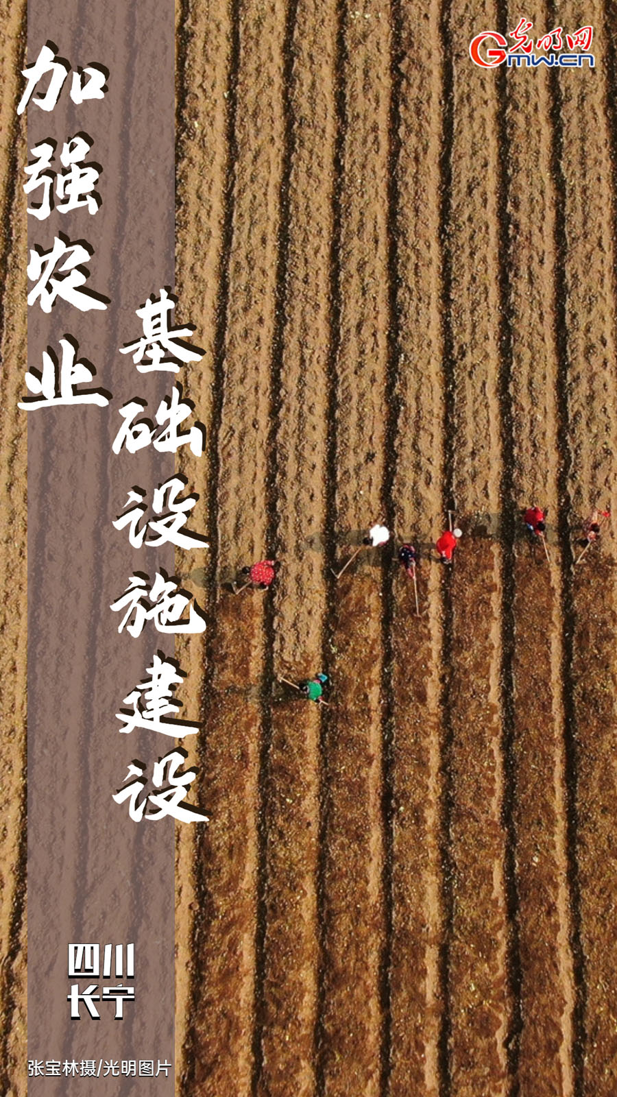 守底线、促振兴、强保障！2023年中央一号文件要点来了