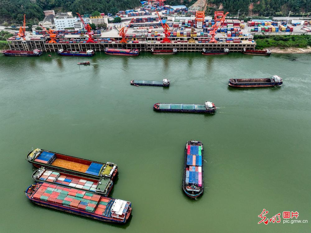 广西梧州口岸1月货运量同比增逾五倍