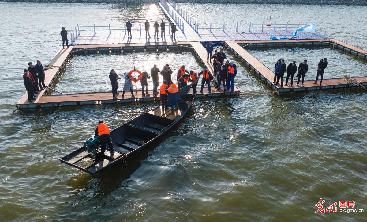 江西鄱阳湖：长江江豚的“搬家”日记