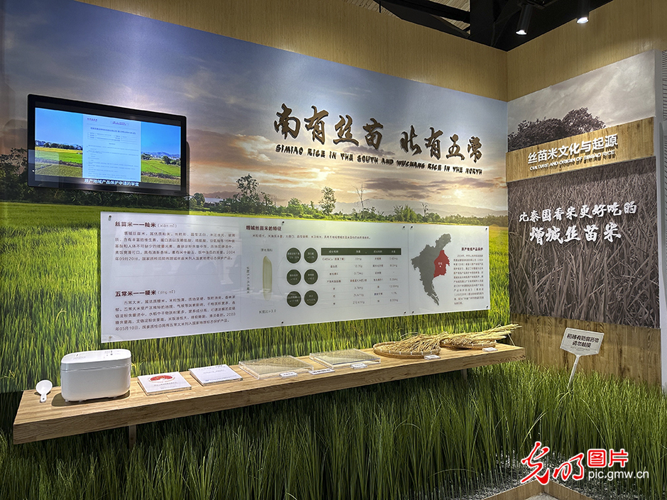 【高质量发展看中国】5G智慧农业 种出高质量好味“稻”