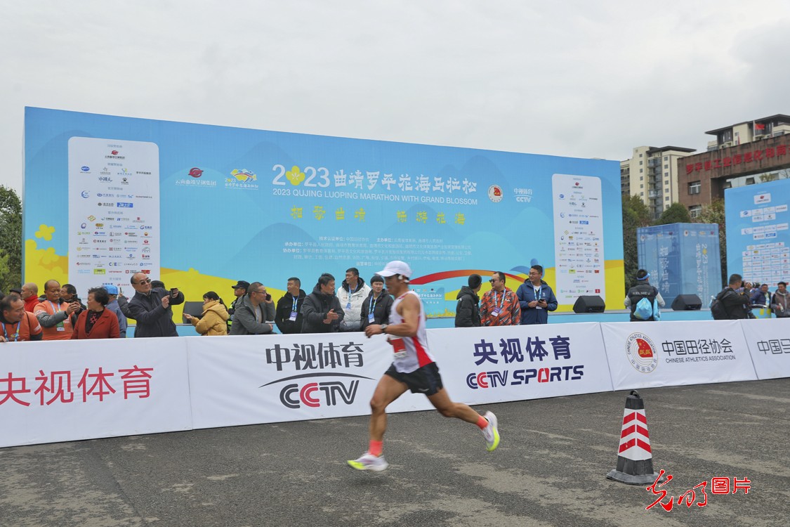 2023曲靖罗平花海马拉松鸣枪开跑