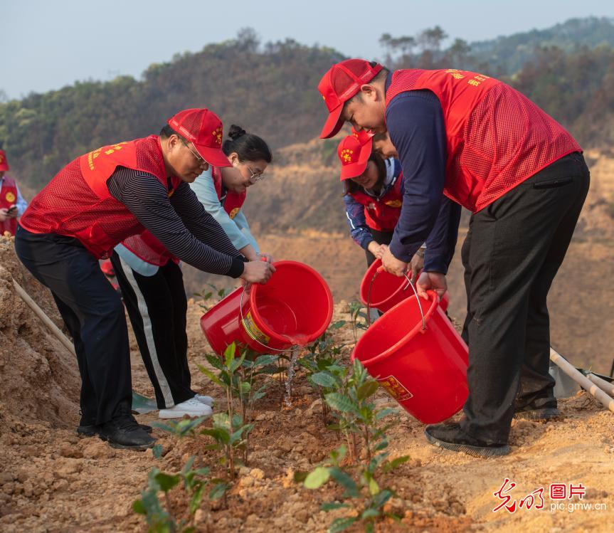 三月学雷锋 植树添新绿