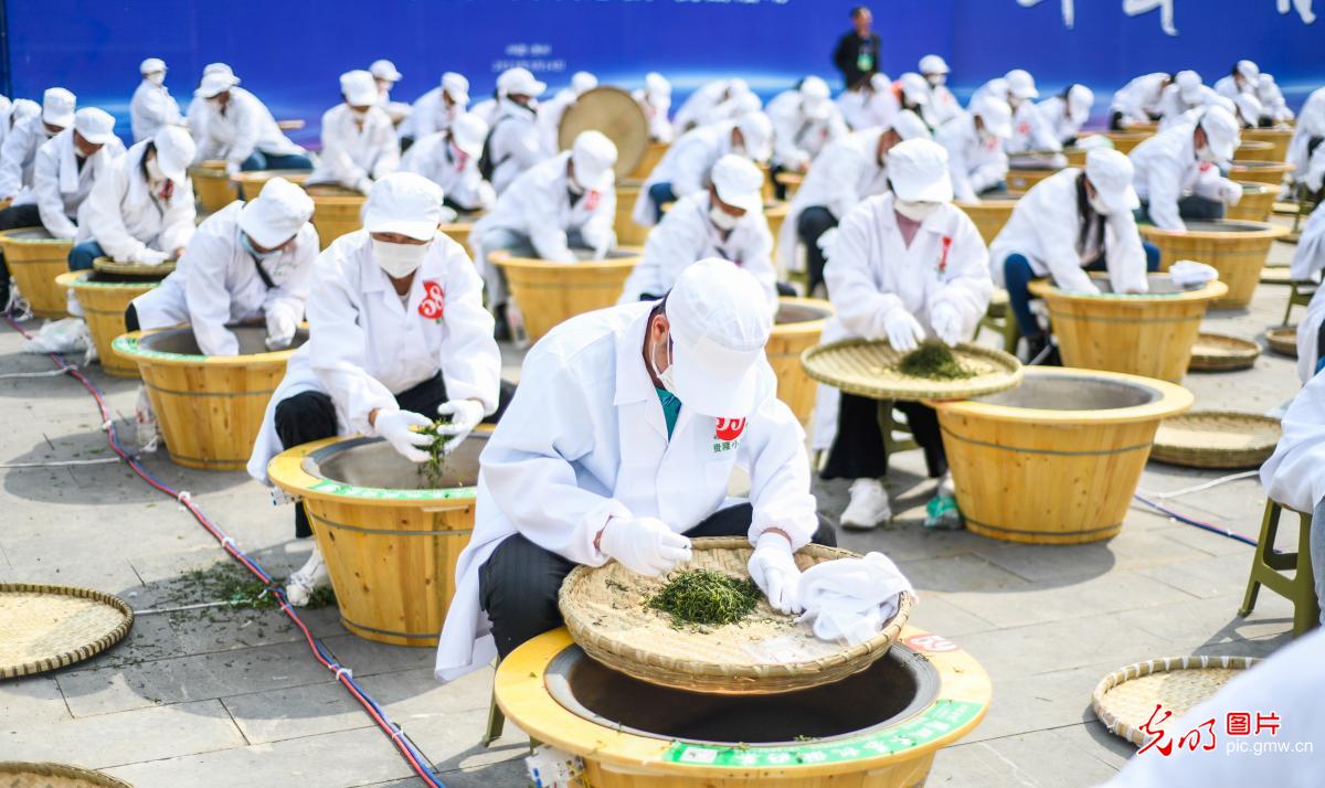 炒茶挑战拼技艺 炒茶挑战拼技艺