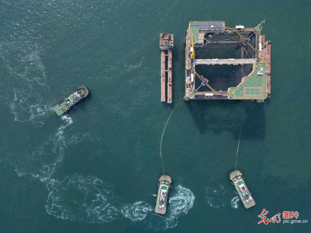 大型深远海智能网箱平台成功安装