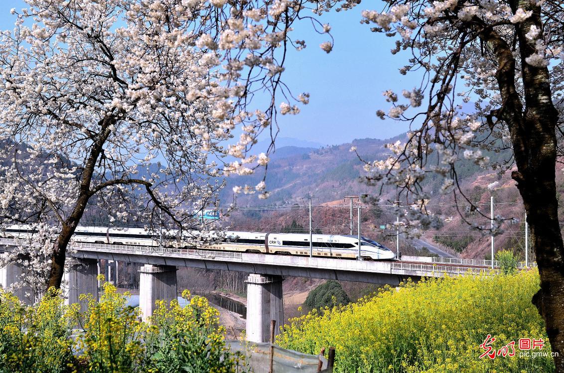 乘“春日列车”赏最美花海