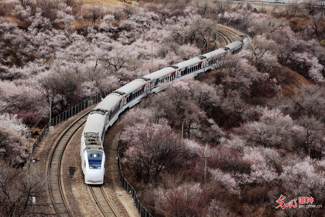 开往春天的列车