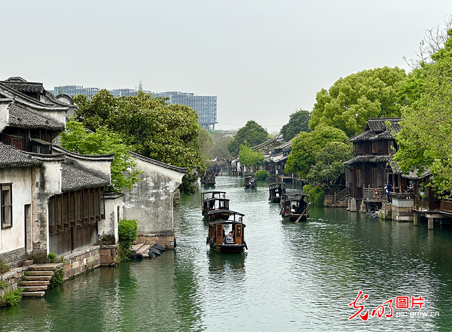 乌镇迎来春游踏青热潮