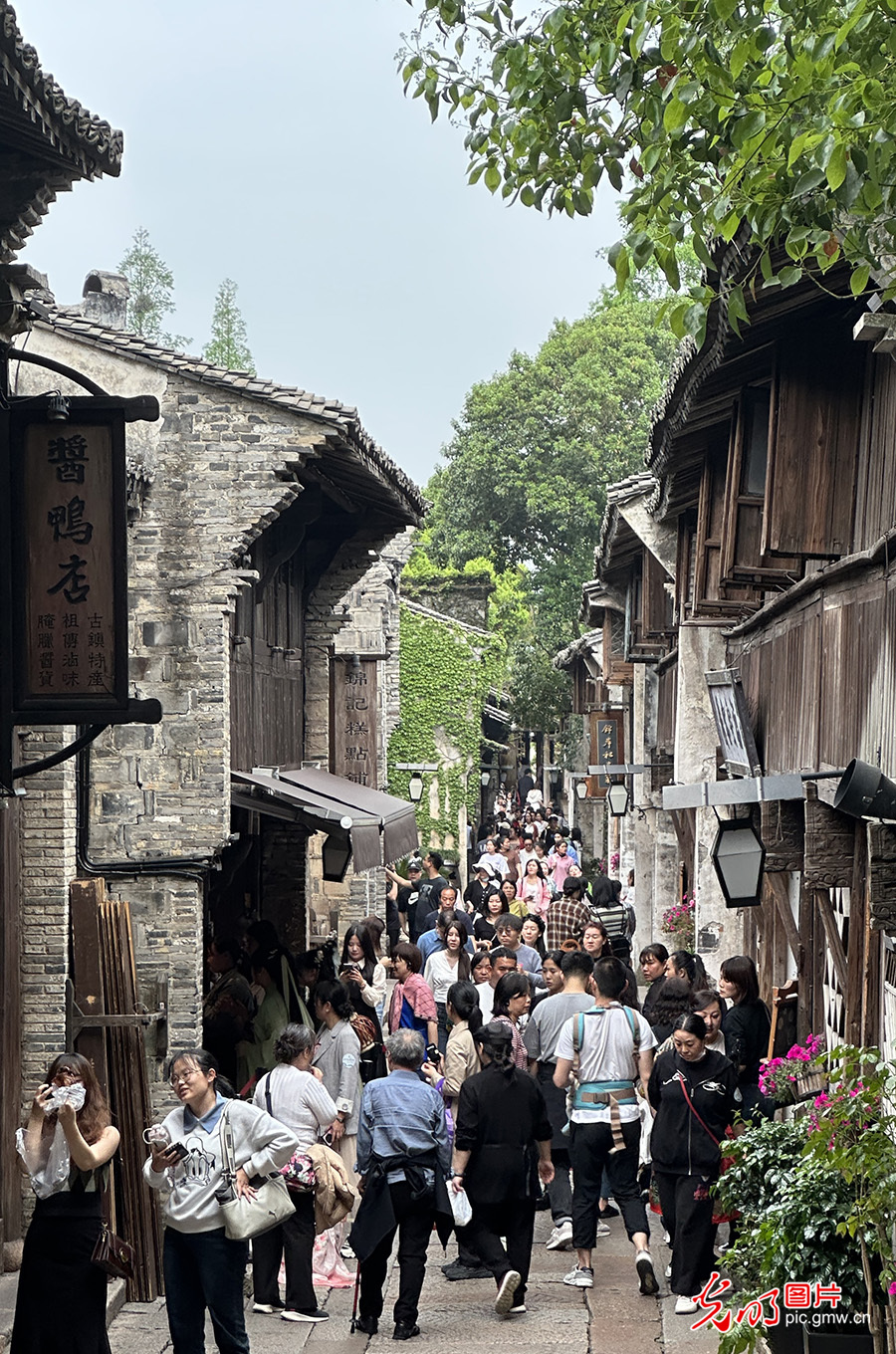 乌镇迎来春游踏青热潮