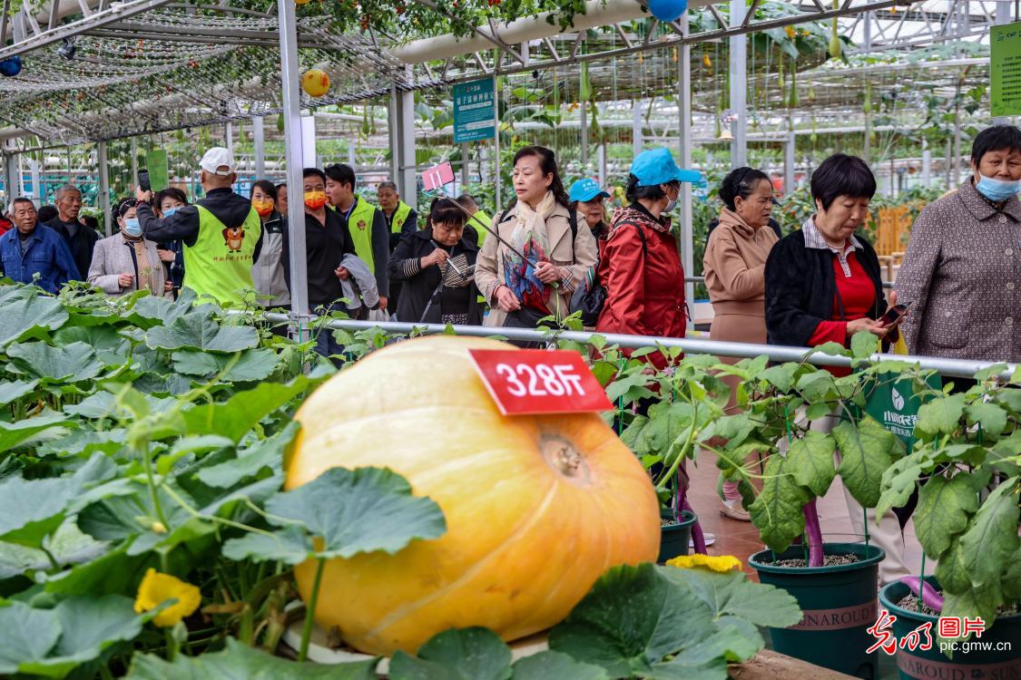 【消费提振】山东寿光：国际蔬菜博览会科技唱主角