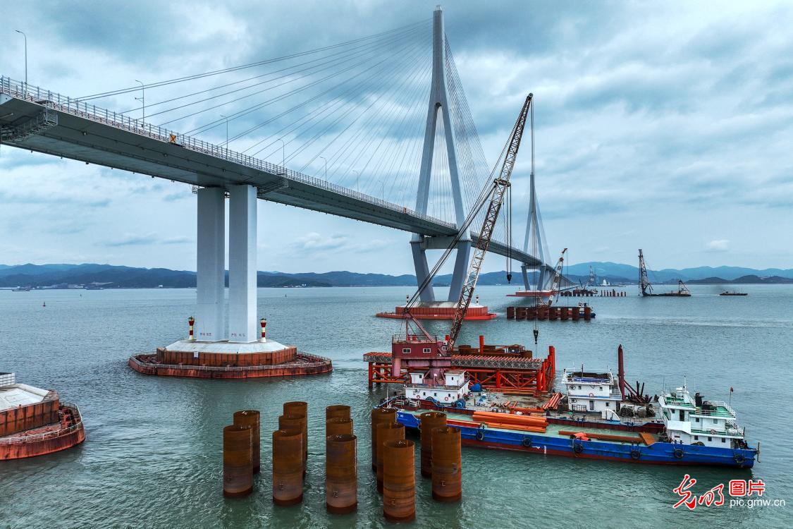 象山港跨海大桥抢抓建设 象山港跨海大桥抢抓建设