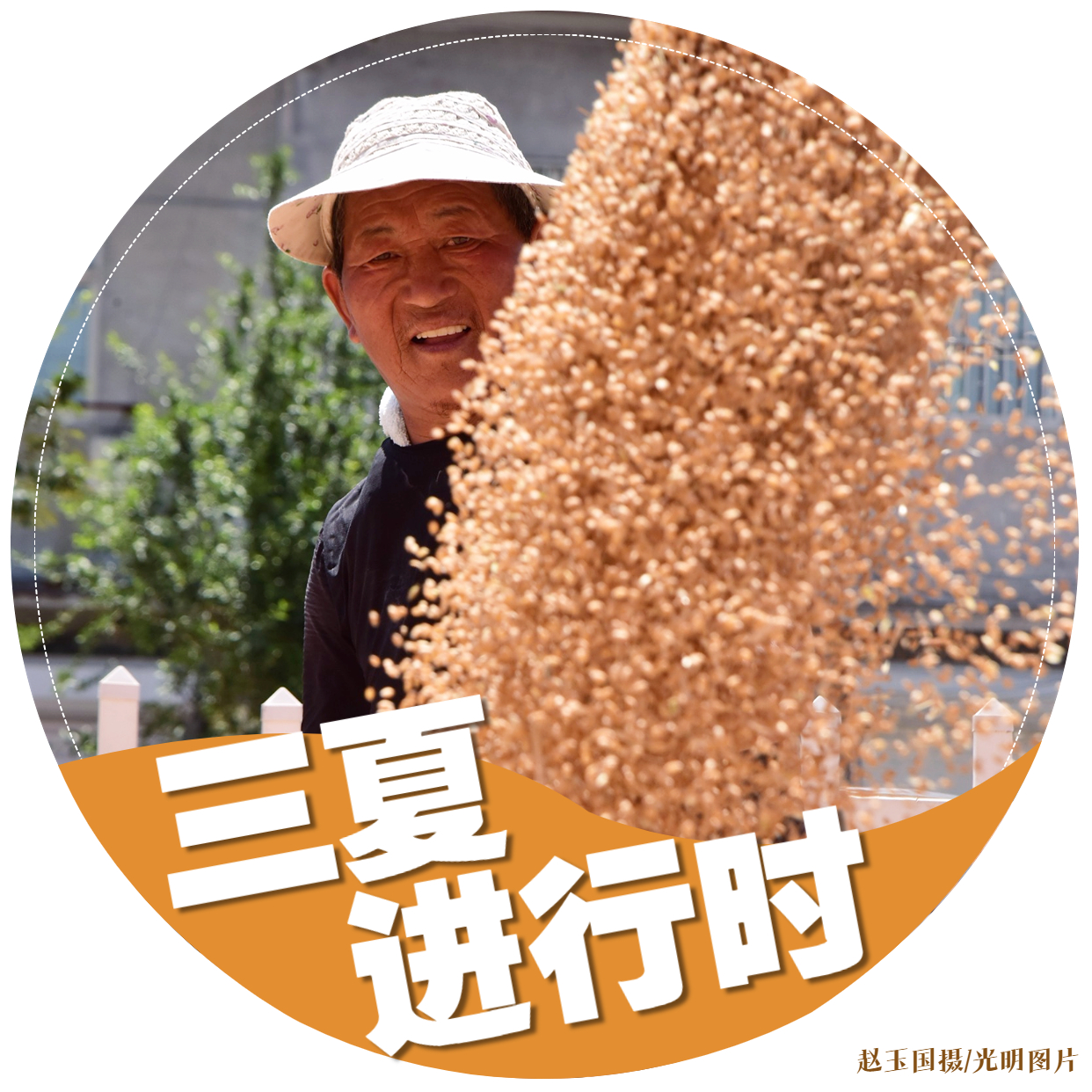 【三夏进行时】海报｜颗粒归仓！金色麦田喜开颜