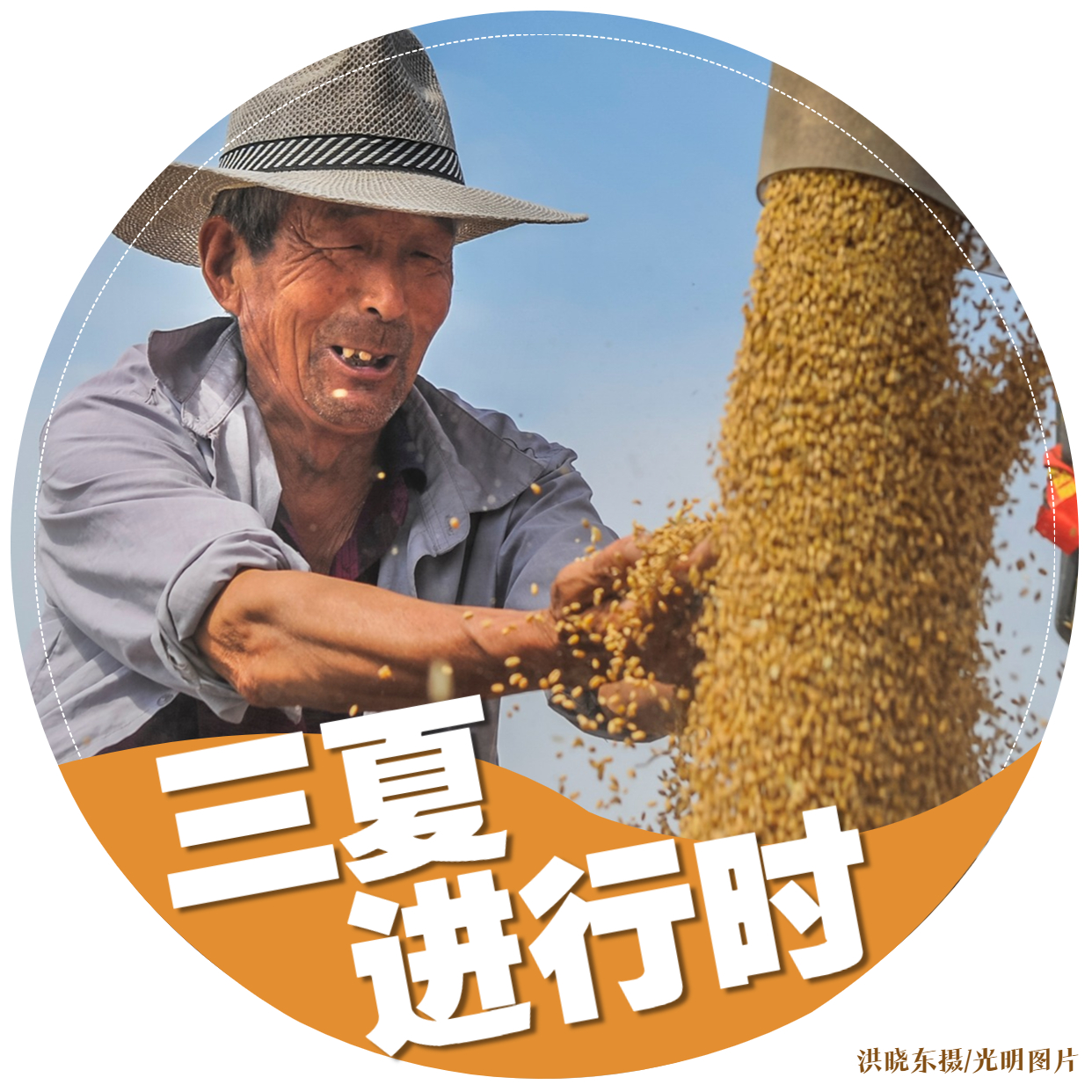 【三夏进行时】海报｜颗粒归仓！金色麦田喜开颜