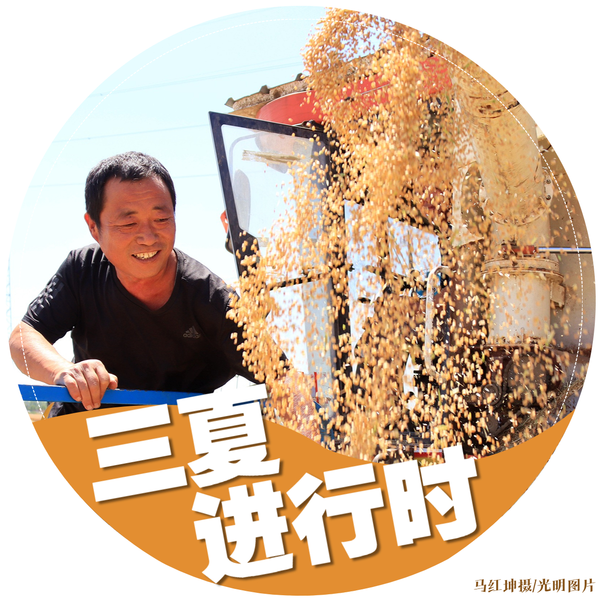 【三夏进行时】海报｜颗粒归仓！金色麦田喜开颜
