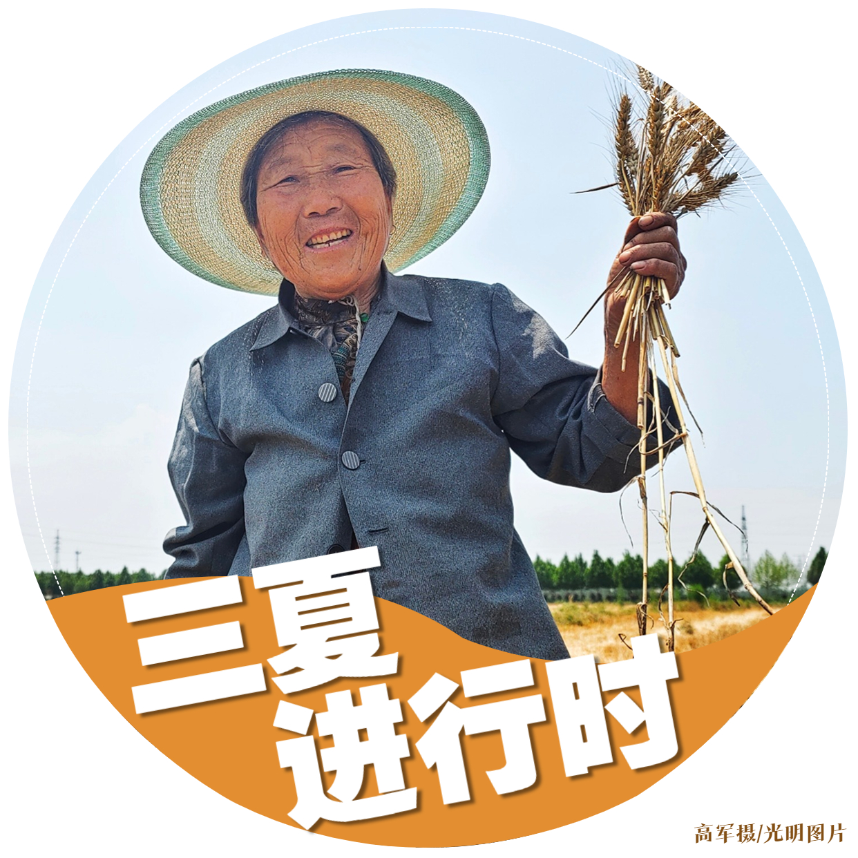 【三夏进行时】海报｜颗粒归仓！金色麦田喜开颜