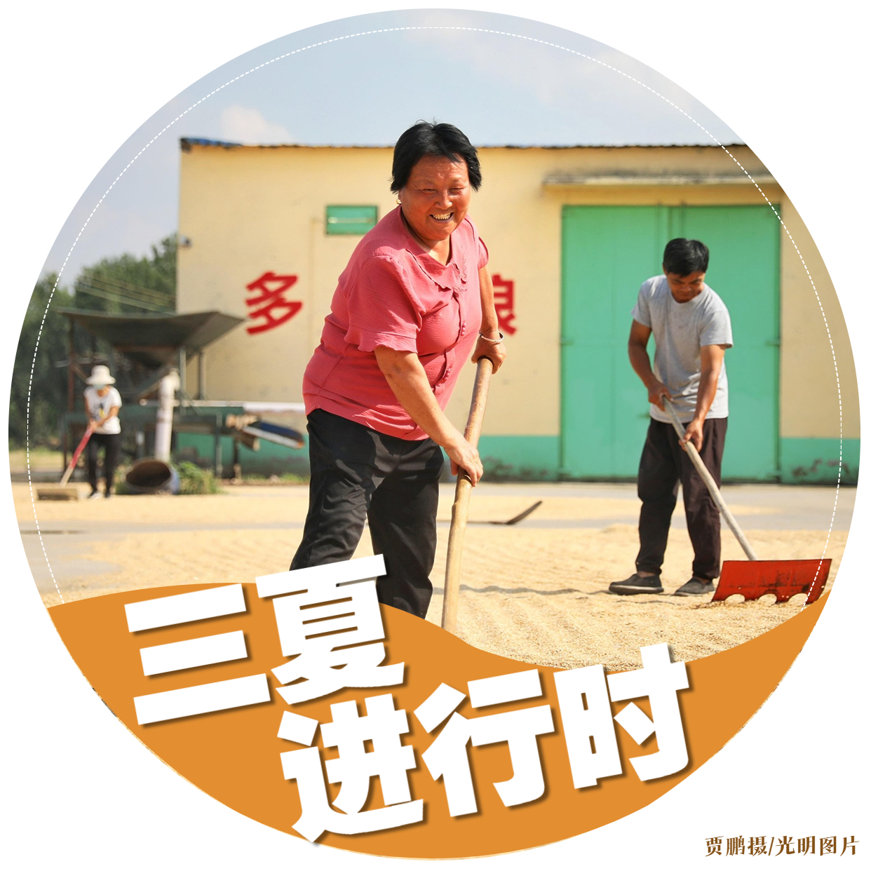 【三夏进行时】海报｜颗粒归仓！金色麦田喜开颜