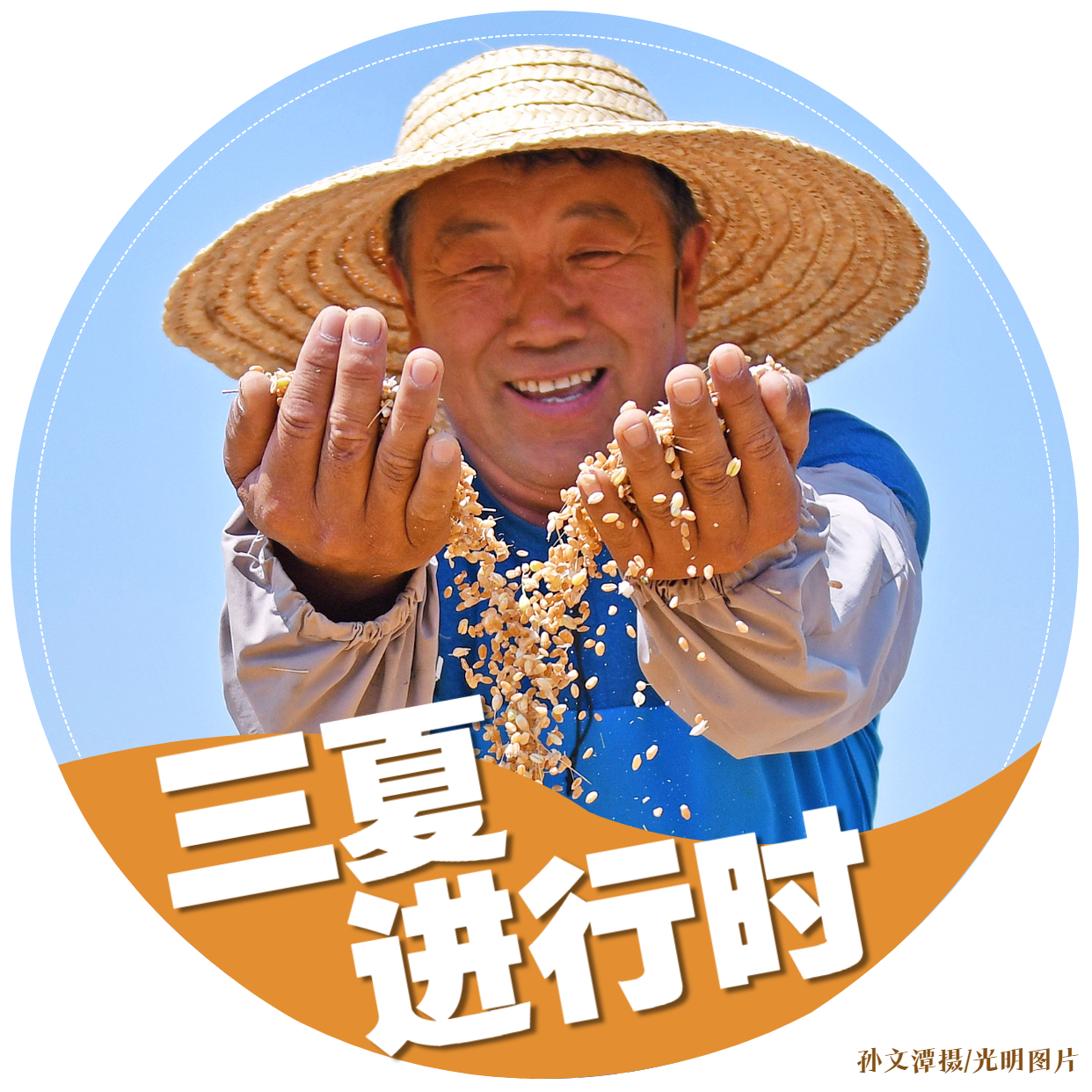 【三夏进行时】海报｜颗粒归仓！金色麦田喜开颜